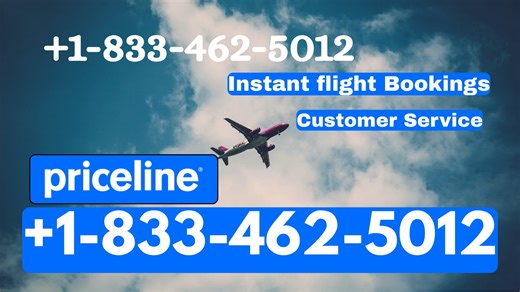 Priceline® Customer Service Complete Guide = Step-by-Step Help & Support 24/7 Priceline®