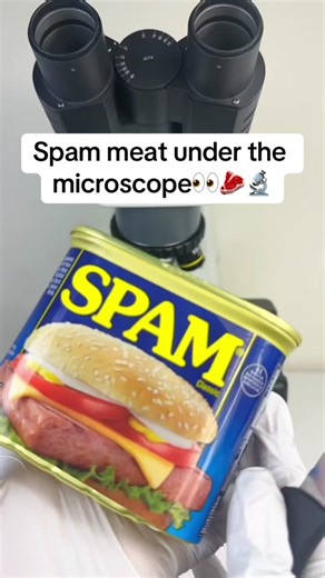 Spam under the microscope👀. What should we look at next?