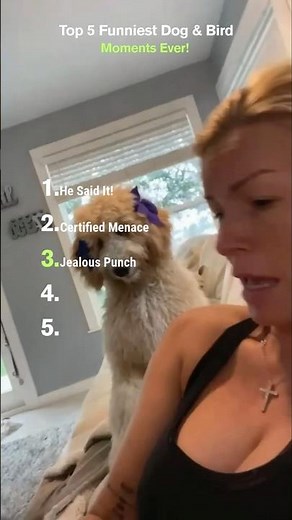 Top 5 Funniest Dog & Bird Moments Ever! 🐶🐦🤣