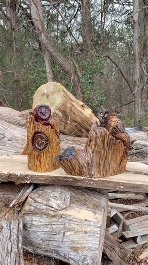 Chainsaw carved owls. #chainsawcarving #owls #woodcarving