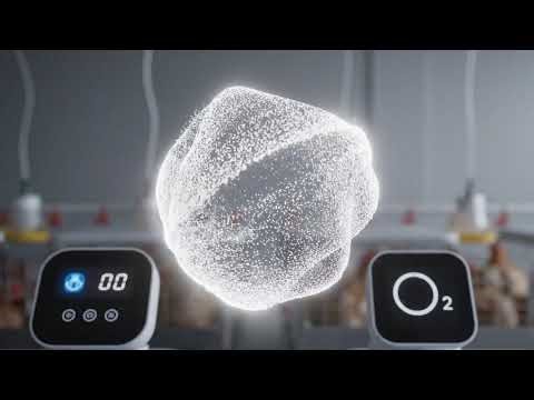 Project CluckScope: Inside a 22-Week Multimodal Poultry Research Experiment