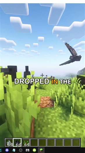 HOW TO FIND THE RAVEN IN MINECRAFT FOWL PLAY