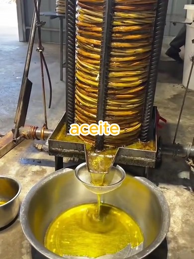 Extracción del Aceite de Girasol: Curiosidades Impresionantes