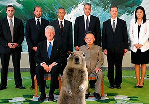 Crasher Squirrel | Know Your Meme