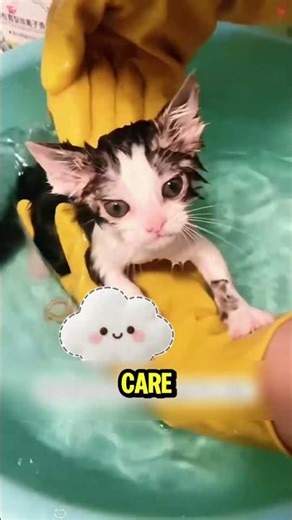 I found her drowning... wait for the miracle! 😭🌊