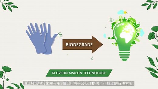GloveOn Avalon 格拉文爱维力 l Biodegradable Gloves 可生物降解手套