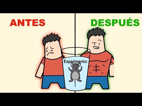 How to increase your potential by 10x (I'll demonstrate it with a rat)