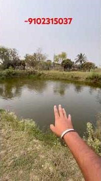 Fish farming business 🐠~2026 model fish farming |#pangasfish |#fishing |#viralvideo