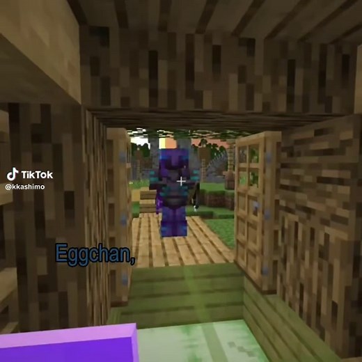 I like this invis player ok? ok #unstableuniverse #unstablesmp #minecraft #wemmbu #eggchan I GUESSSSSSSSS..