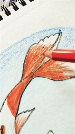 koi fish drawing #art #drawing #koifish