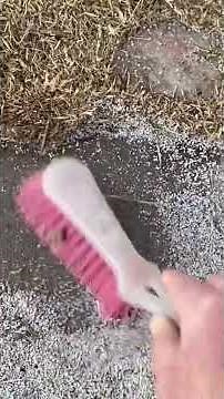 remove Oil stains from concrete with cat litter