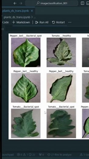 image classification TensorFlow #machinelearning #tensorflow #software #coding #imageclassification