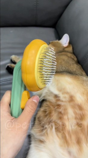 73K views · 325 reactions | Transform Your Pet Grooming Routine Today!. Link is in the comments! Don't miss it! | Beautiful cats | Facebook