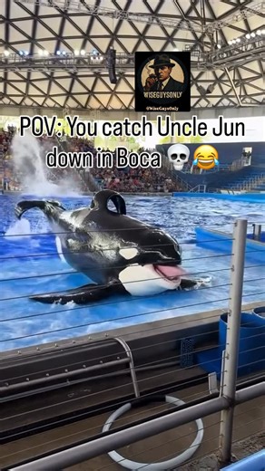 WiseGuysOnly on Instagram: "South Of Da Border.  #Sopranos"