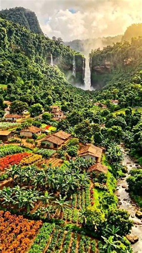 Beautiful Nature Views 🌿 #edenvale #nature #naturevideos #relaxingnature
