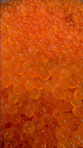 Salmon Roe (Ikura) 🔥 #caviar #salmonroe #ikura #fisheggrecipe #fishegg #cook #delicious #shorts