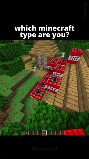 What Type Of Minecraft Player Are YOU? 👀