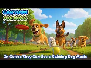24 Hours Dog Cartoon 🎨🐕 Bluey & Yellow in Colors Dogs Can See | All Day Fun at The Park 🐶 Dog Videos