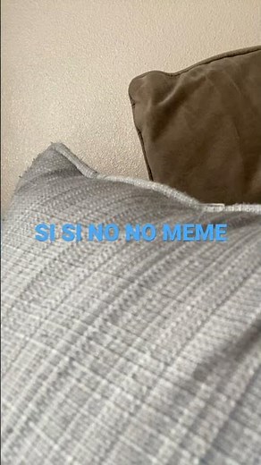 SI SI SI NO NO NO MEME