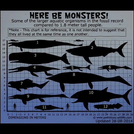 Dunkleosteus Ark: Prehistoric Ocean Predators