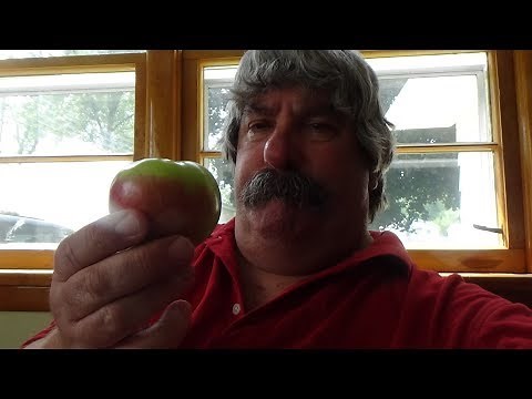 ASMR Eating An Apple