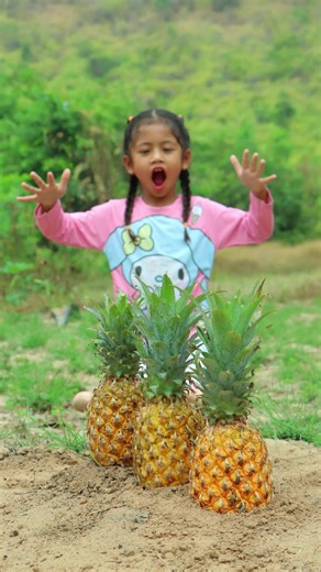 Exploring Smart Tools for Bushcraft and Survival