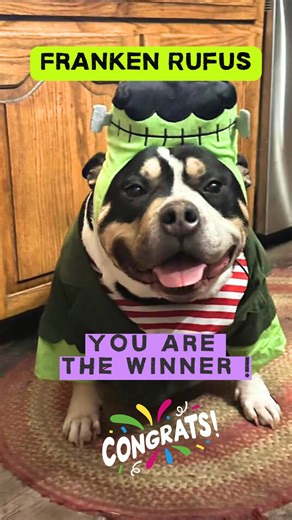 1.8K views · 32 reactions | Cue the drum roll...and the grand champion of Sutherland's Pet Costume Contest is...Franken Rufus, and his owner Crystal Adams.  Congrats! You've snagged a $50 Sutherland's gift card! A big tail-wagging thank you to all the furry participants. You all looked utterly PAWSOME! Stay tuned for more fabulous giveaways!  | Sutherlands Kansas City | Facebook