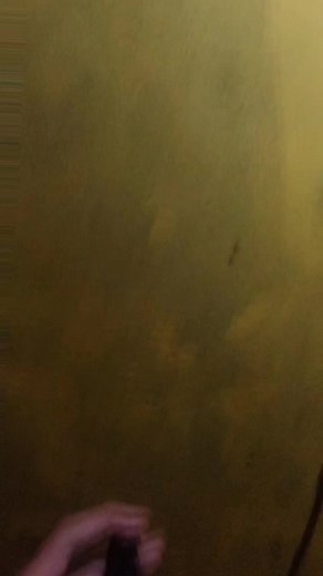 set up alakadarnya#pentium_team #komputerofficiel #sleperbuild #sleperbuild #pclowbudget #pc #fyp #setup #upgradesetup