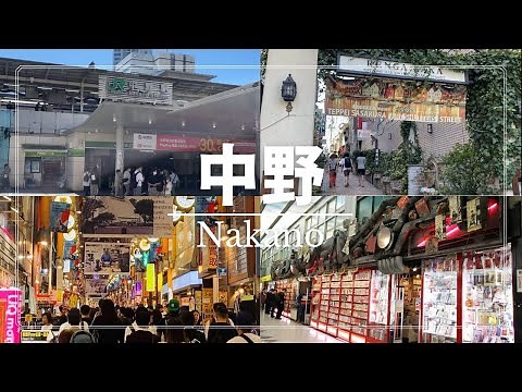 [Sightseeing in Japan] Introducing Nakano's lunch / date course