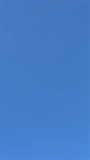 We fucked 🤣🤣 12 buzzards circling us , with Brother talking to them 🤣🤣🤣 | Philip Baker