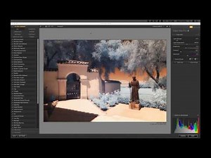 DxO Webinar on the Nik Collection 2 / Digital Infrared Photography