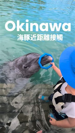 沖繩海豚體驗🐬 半身下水，摸摸海豚和各式互動 難忘的回憶🥰 這裡是沖繩北部的本部元氣村 雖然價格不便宜！ 但體驗一次很值得😊😊 #沖繩 #沖繩旅遊 #沖繩自由行 #本部元氣村 #沖繩親子遊 #沖繩景點 #okinawa #okinawatrip | 塔塔懷特TataWhite。生活有樂町