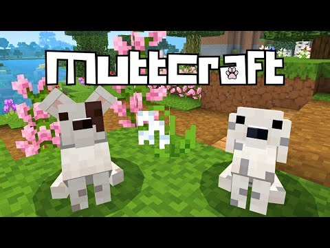 Seeing Spots 🦴 MuttCraft Bedrock Minecraft Episode 5