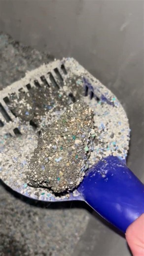 Tidy Cats reviews: About your cat litter | PissedConsumer.com