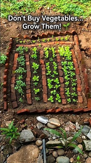 How to Build a Vegetable Garden Bed | Grow Your Own Food