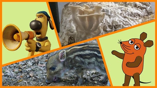 Die Sendung mit der Maus: Die Sendung mit der Maus vom 01.03.2026 - Hörfassung