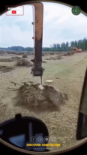 3.7M views · 40 reactions | Did you know that tree stump removing...