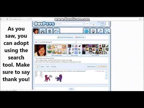 Ovipets Tutorial Getting started