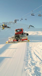 45K views · 569 reactions | Who doesn’t love freshly groomed cord? ...