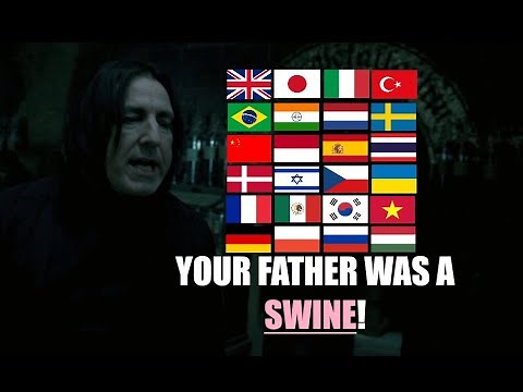"YOUR FATHER WAS A SWINE!" in Different Languages [Harry Potter and the Order of the Phoenix]