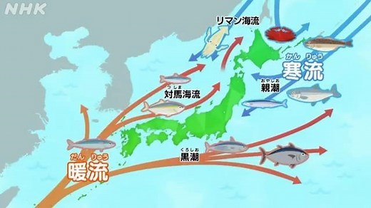 たくさんの魚が食べられる理由　～海流と漁法～ | NHK for School