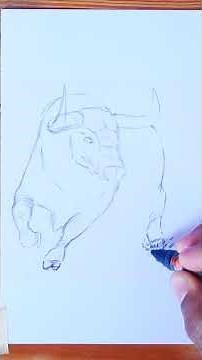 How to draw a bull