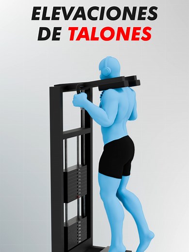Entrenamiento Efectivo para Pantorrillas: Gemelos y Sóleo