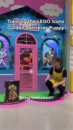Be sure to build the LEGO® Icons Golden Retriever Puppy before playing with it #LEGO