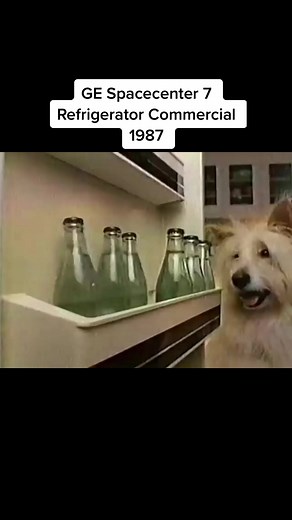 Upgrade Your Kitchen with a Vintage 80s Fridge!