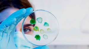 Heart Health: Understanding Stem Cells And Its Role In Cardiac Care