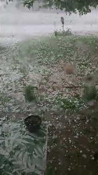 Every one is ok. Lost our back window of our car #oklahomaweather #badweather #fyp #weatherchannel