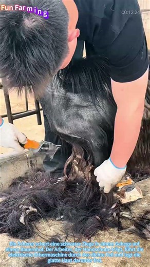 Der Ziegenfriseur: Aus Dunkelheit wird Behaglichkeit