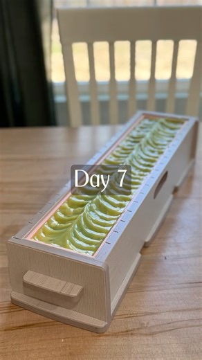 Day 7 of making soap everyday until I separate from the Army.