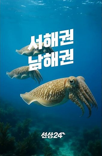 바다는 아직 갑오징어 먹물로 한판 승부중! #선상낚시 #갑오징어